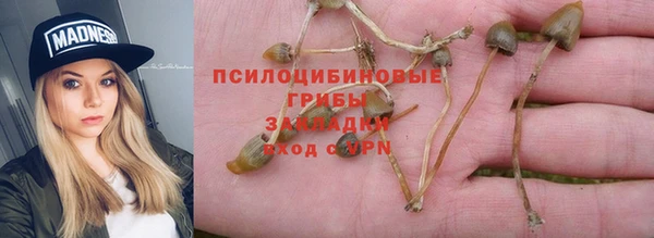 дурь Армянск