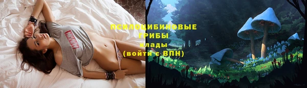 дурь Армянск
