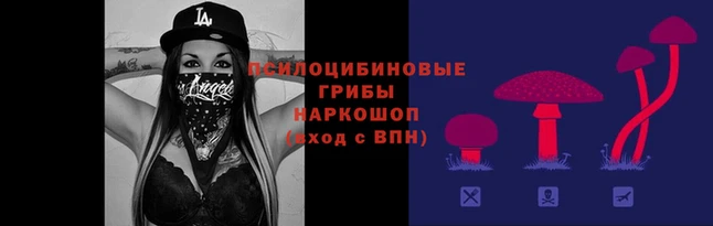 первитин Арсеньев