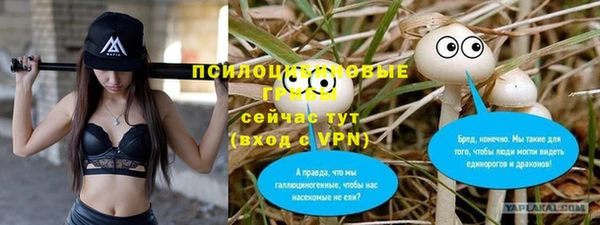 дурь Армянск